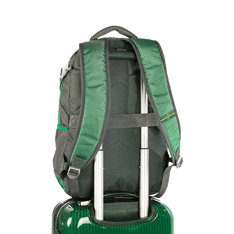 Mochila 2 Compartimentos Porta Tênis Palmeiras - Verde