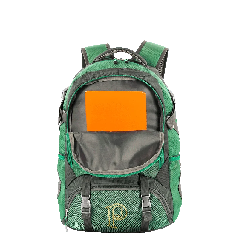 Mochila 2 Compartimentos Porta Tênis Palmeiras - Verde